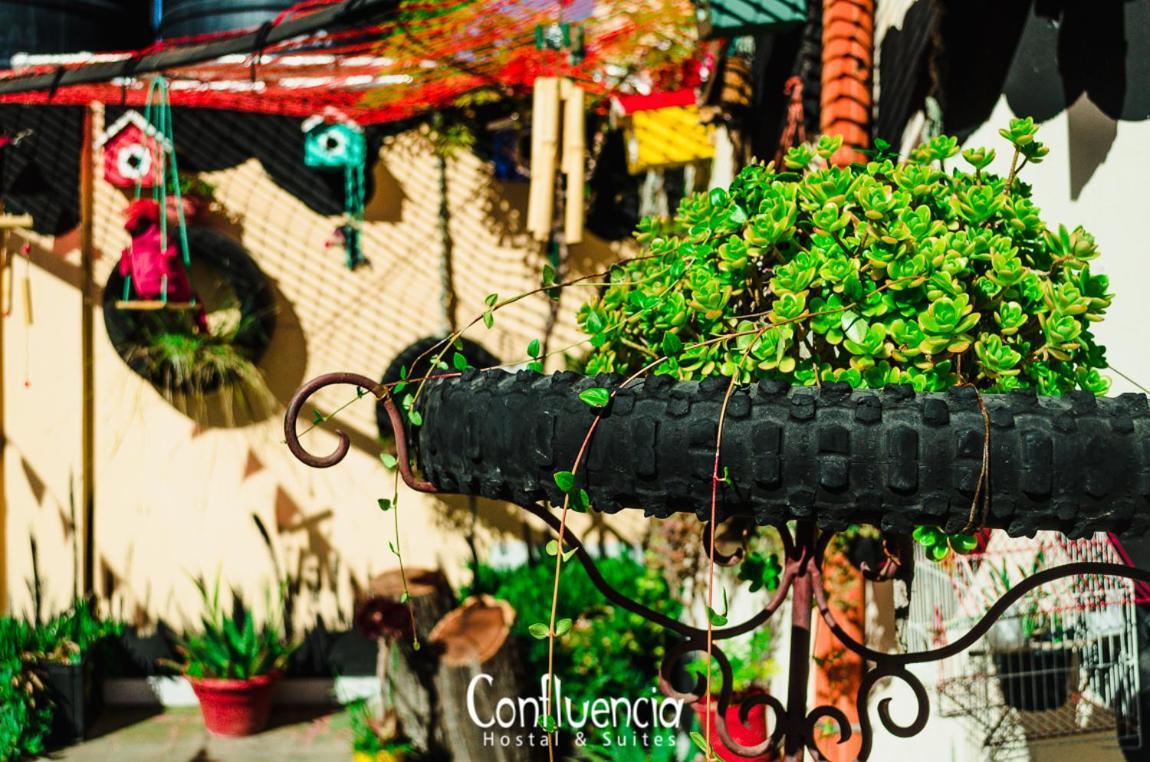 Hostal Confluencia ميندوزا المظهر الخارجي الصورة
